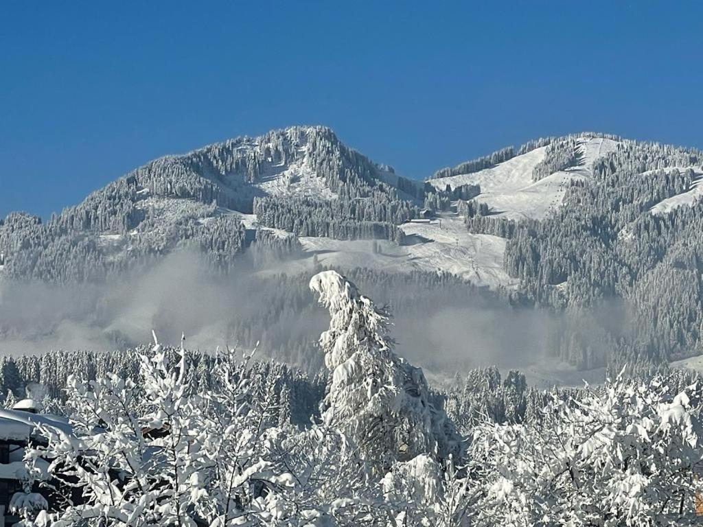 Panoramablick Ferienwohnungen Fischen im Allgaeu Exterior foto